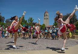 Image result for Stanford Dollies