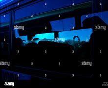 Image result for New York Activity Bus