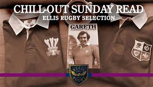 Image result for Gareth Evans Rugby Wales