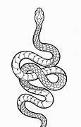 Image result for FAMU Snake Stencil