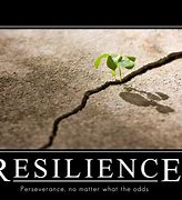 Image result for Funny Quotes About Resilience