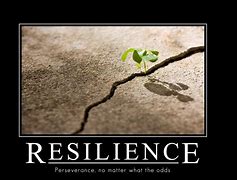 Image result for Famous Resilience Quotes