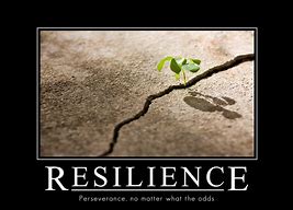 Image result for Quotes On Resilience