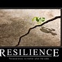 Image result for Resilience Quotes by Famous People