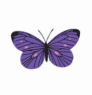 Image result for Purple Rose with Butterfly GIF