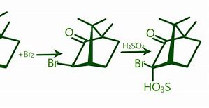 Image result for Camphor Condensed Structural Formula