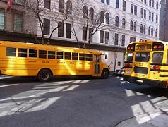 Image result for NYC School Bus