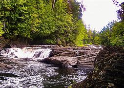 Image result for Forest River Waterfalls