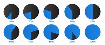 Image result for Pie-Chart 100