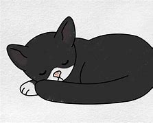 Image result for Moody Cat Drawing