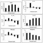 Image result for Il-12 qPCR