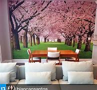 Image result for Interior Wall Murals