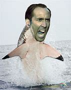 Image result for Good News Nicholas Cage Meme