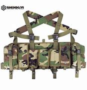 Image result for AWS M14 Chest Rig