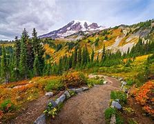 Image result for Mount St. Helens Hiking Map