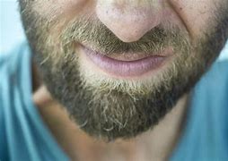 Image result for 1 Month Beard