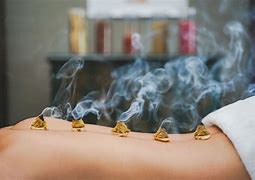 Image result for Traditional Chinese Medical Science