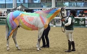 Image result for Ror Horses