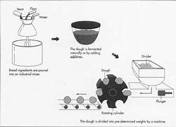 Image result for Siklus Gambar Membuat Roti