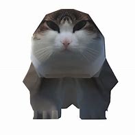 Image result for Wawa Cat PNG