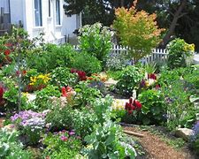 Image result for Flower Garden Landscape Design