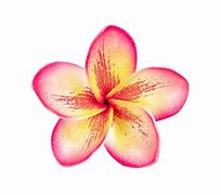 Image result for Lei Flower Cut Out