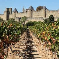 Image result for Languedoc-Roussillon Wine Region