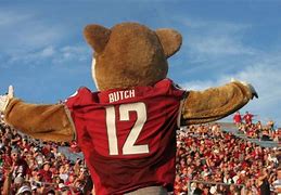 Image result for Butch Go Cougs