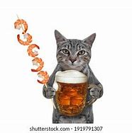 Image result for Cat Drinking Beer