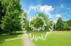 Image result for Ocular Migraine Aura Symptoms