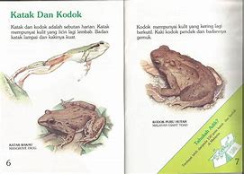 Image result for Katak Beranak