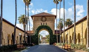 Image result for Stanford University Maskot