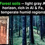 Image result for Tropical Soil