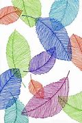 Image result for Leaf Line Art for Beginners