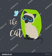 Image result for Cat Funny Butterfly