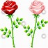 Image result for Rose Paan