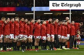 Image result for Welsh Rugby Union Makes