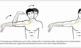 Image result for Brachial Plexus Nerve Glides