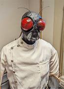 Image result for Paper Mache Bug Mask