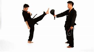 Image result for Karate Front Kick