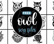 Image result for 3D Owl SVG