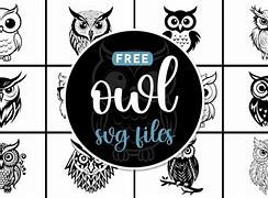 Image result for Owl Box Plans SVG