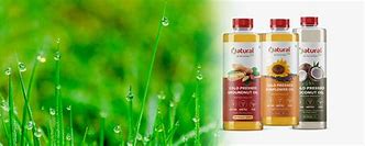 Image result for Natural Oil From Ground