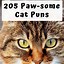 Image result for Best Cat Puns