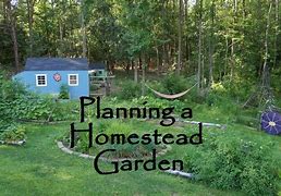 Image result for Backyard Homestead Design