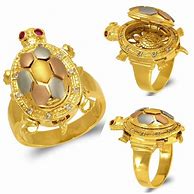 Image result for Turtle Age Ring