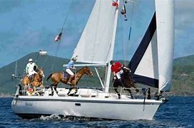 Image result for Catalina 36 Sailboat