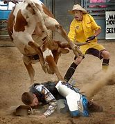 Image result for Rodeo Clown Meme