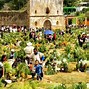 Image result for Chiapas Mexico Tourism