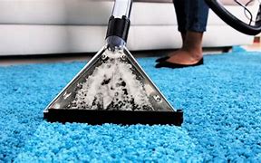 Image result for Carpet Steaming